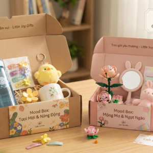 Hai hộp quà tặng Mood Box từ Little Joy Gifts